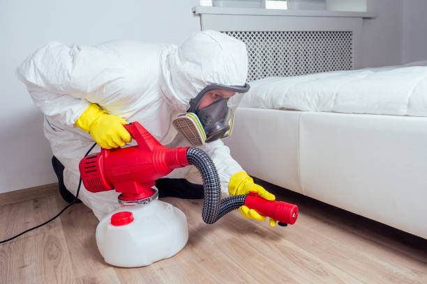 Best Fumigation Services  in Chigan Center, MI